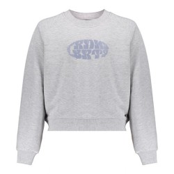 Meavy Sweater light grey melange