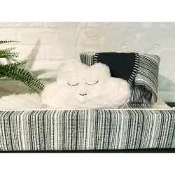 Ivory Cloudy Pillow