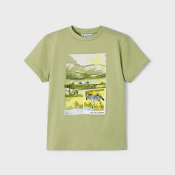 S/s t-shirt kiwi                 